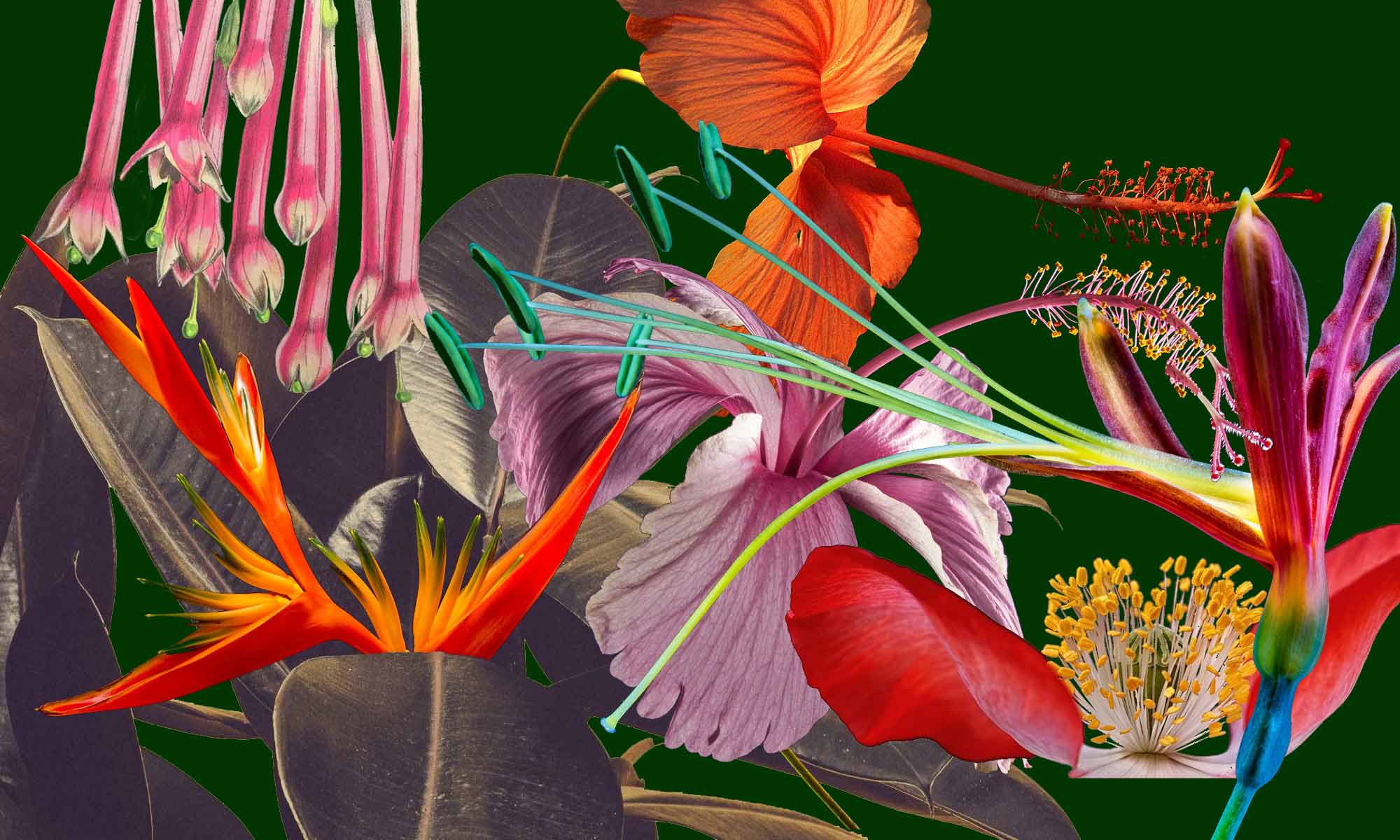 Blume Und Stil Owen